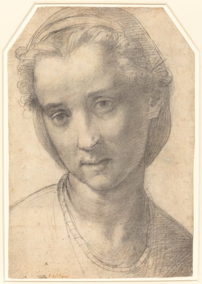 Bir Kadının Başı by Andrea del Sarto