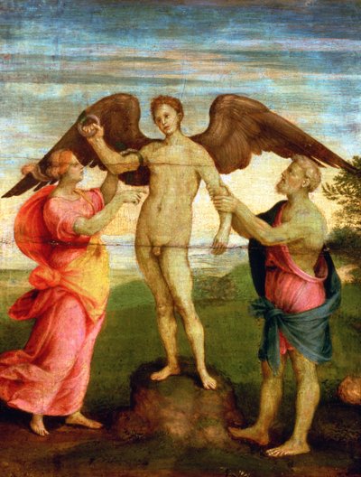 İkarus by Andrea del Sarto