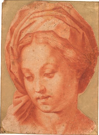 Borghese Madonna by Andrea del Sarto