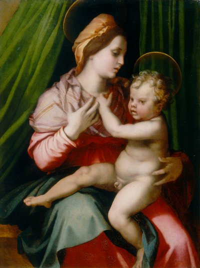 Çocuklu Madonna, Andrea del Sarto