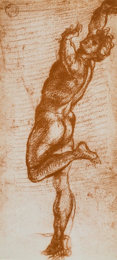 Erkek figürü, Andrea del Sarto