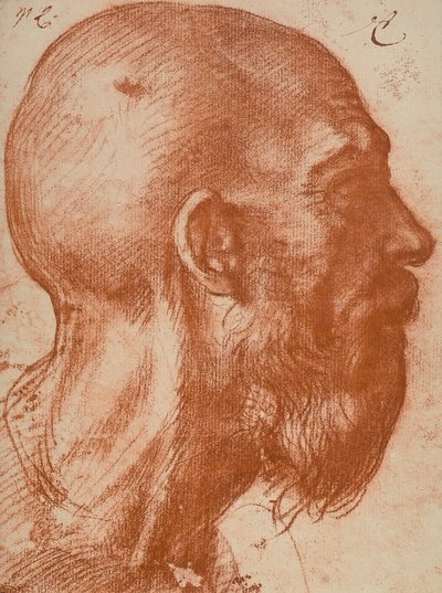Profildeki kafa adam by Andrea del Sarto