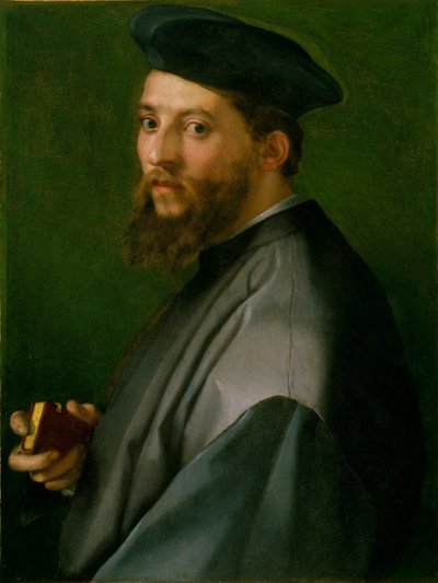  by Andrea del Sarto