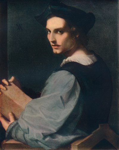 Genç Bir Adamın Portresi, c1517, 1911 by Andrea del Sarto