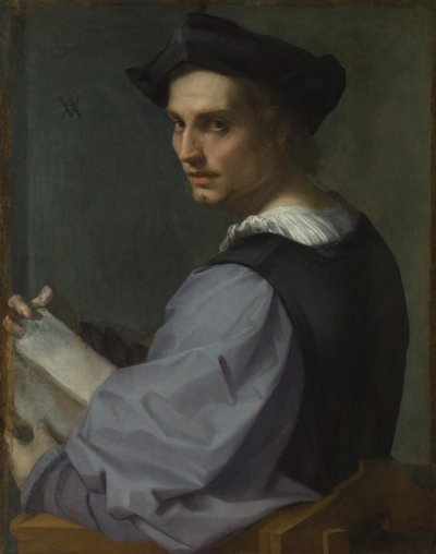 Bir Genç Adamın Portresi, yaklaşık 1518 by Andrea del Sarto