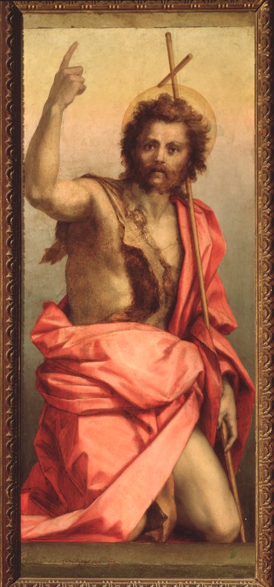Vaftizci Yahya, Aziz Agnes Sunağı (Resim, 1525-1528) by Andrea del Sarto