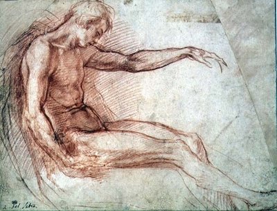 Oturan Erkek Çıplak (kağıt üzerinde kırmızı tebeşir) by Andrea del Sarto