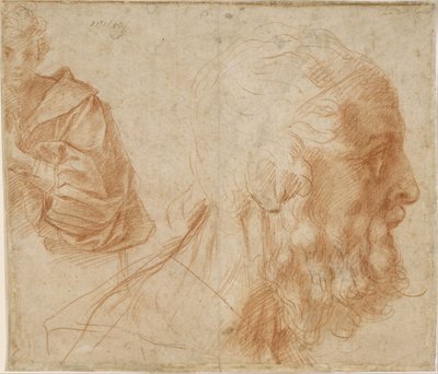  by Andrea del Sarto