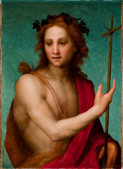 Vaftizci Yahya, c.1517 (tuvale aktarılmış panel üzerine yağlı boya) by Andrea del Sarto