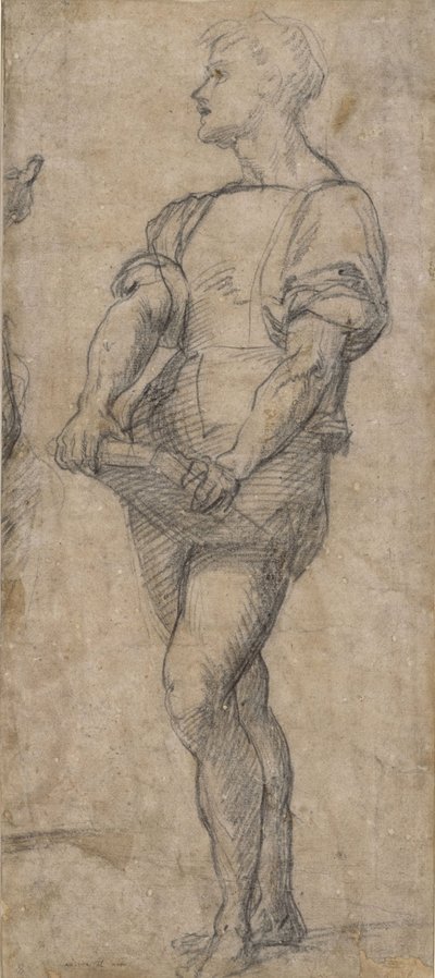 Ayakta duran genç bir kitap tutuyor, yaklaşık 1515 by Andrea del Sarto
