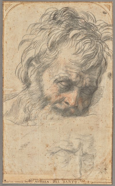  by Andrea del Sarto