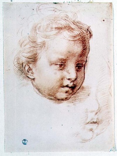 Bir çocuğun kafasının incelenmesi (kağıt üzerinde tebeşir) by Andrea del Sarto