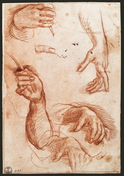Kömür (kömür) çizimi “ellerin çalışması” by Andrea del Sarto