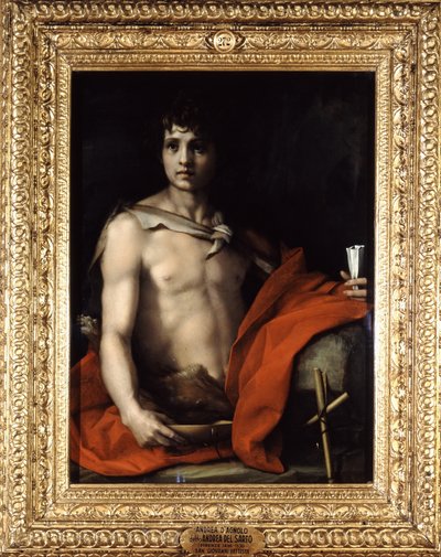 Bilinmeyen resim by Andrea del Sarto