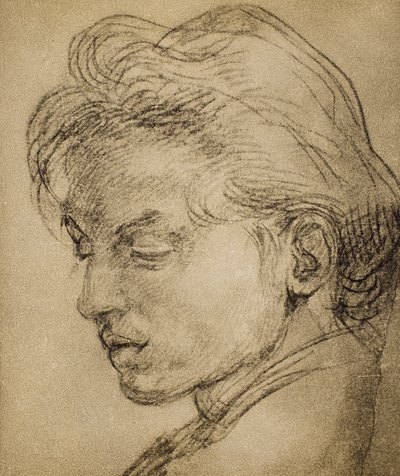 Profildeki erkeksi kafa by Andrea del Sarto