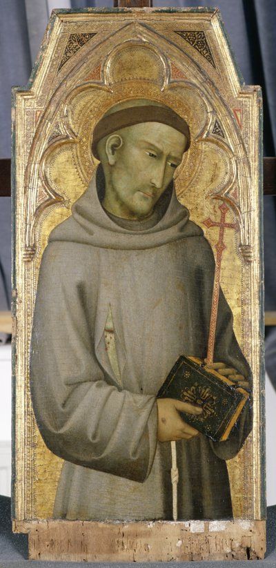 Francis, c.1375 (kavak ağacı üzerinde tempera) by Andrea di Vanni dAndrea Salvani Andrea di Vanni dAndrea Salvani