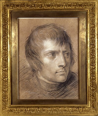 Napolyon Bonapart (1769-1821), Birinci Konsolos, 1803