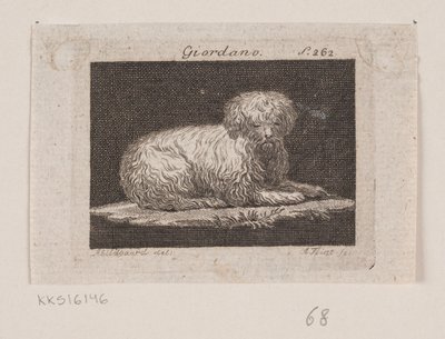Giordano, yalancı bir köpek by Andreas Flint