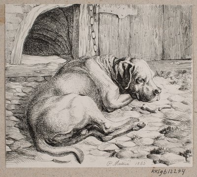 Uyuyan bir köpek by Andreas Peter Madsen