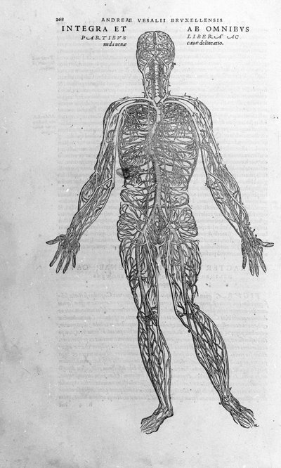 Andrea Vesalio (1514 - 1564), V. Charles'ın doktoru by Andreas Vesalius