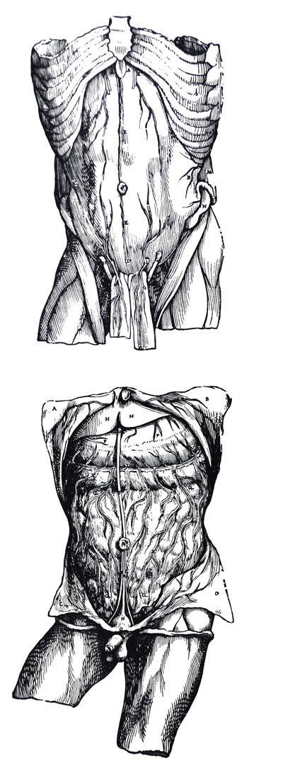 De Humani Corporis Fabrica