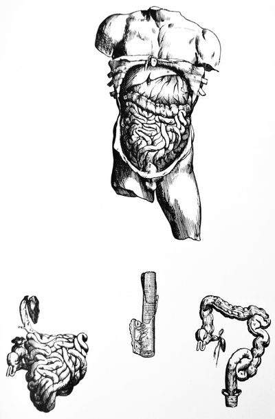 De Humani Corporis Fabrica'nın Beşinci Kitabından Plakalar by Andreas Vesalius
