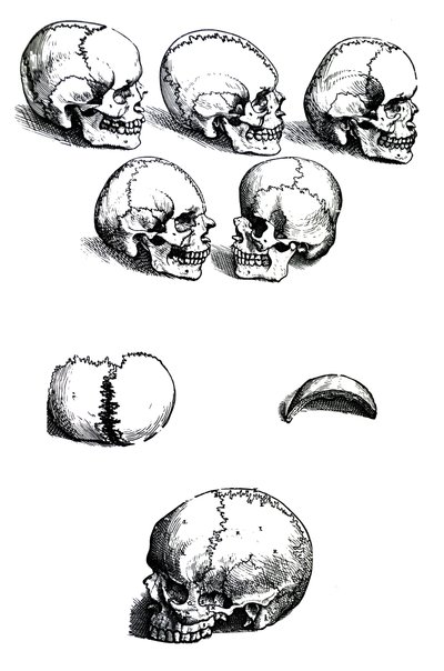 Andreas Vesalius