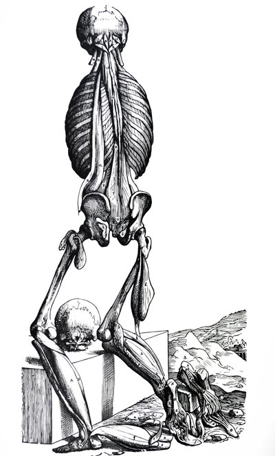 De Humani Corporis Fabrica