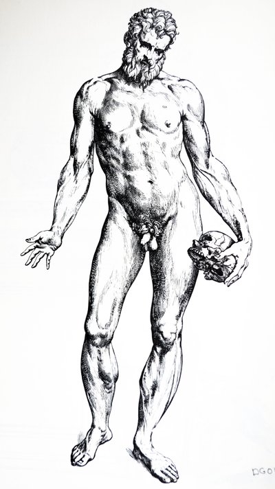 De Humani Corporis Fabrica'nın Yedinci Kitabından Levhalar by Andreas Vesalius