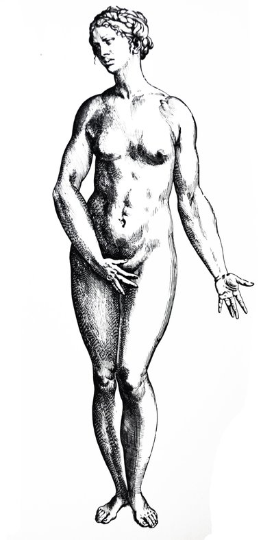 De Humani Corporis Fabrica