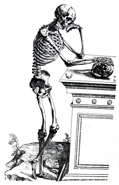 De Humani Corporis Fabrica