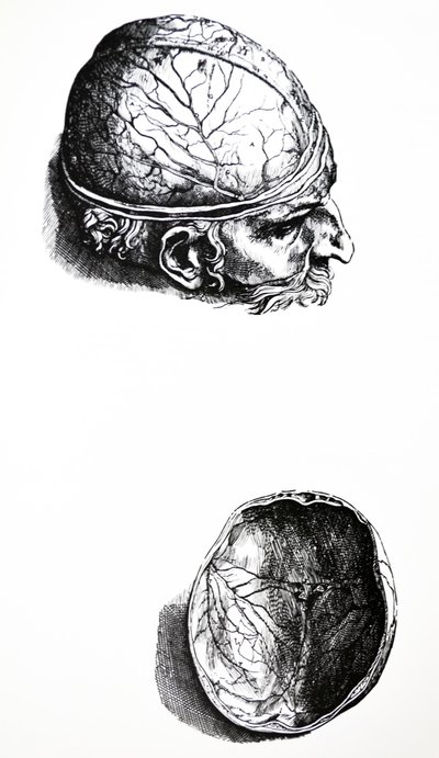 De Humani Corporis Fabrica