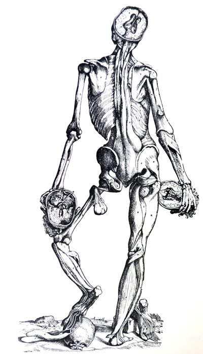 De Humani Corporis Fabrica