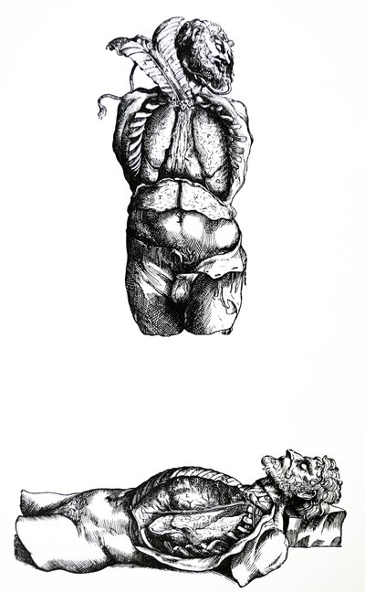 De Humani Corporis Fabrica