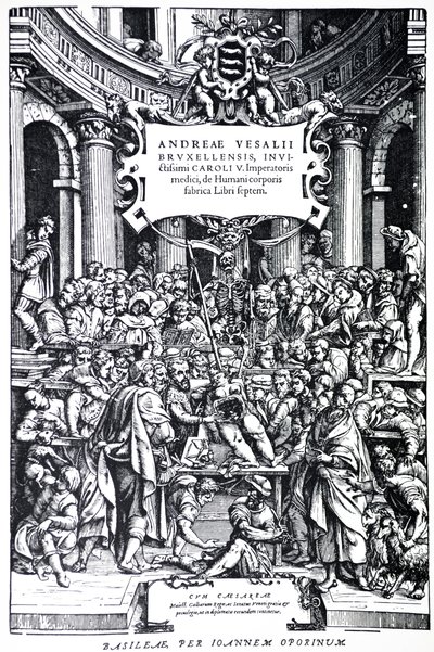 De Humani Corporis Fabrica
