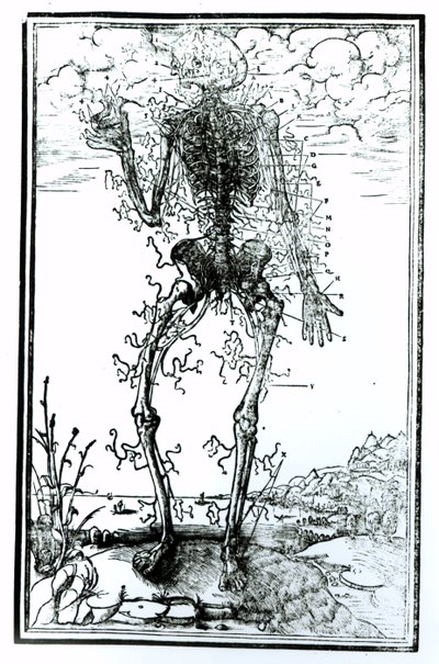 Vücudun Vasküler Sistemi by Andreas Vesalius