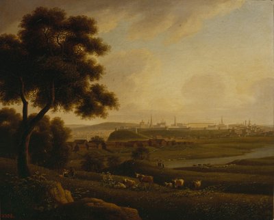 Kazan manzarası, 1816 by Andrei Yefimovich Martynov
