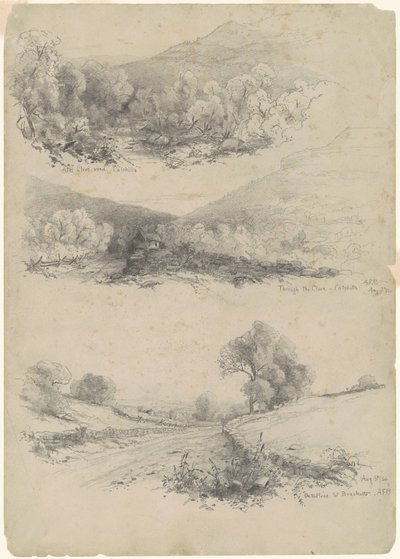 Karanfil Yolu, Kedi Becerileri; Karanfil Yoluyla - Kedi Becerileri; ve Bracketts Yolunda [recto] by Andrew Fisher Bunner