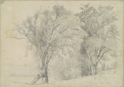 Karaağaç, Hudson by Andrew Fisher Bunner
