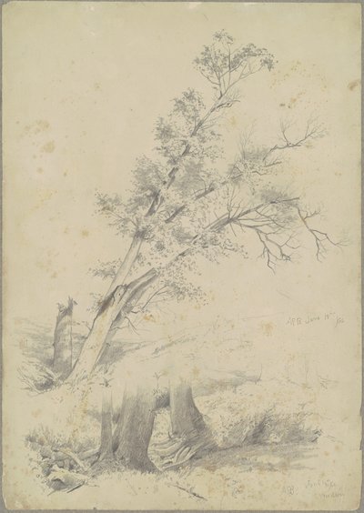 Ağaçlar, Hudson by Andrew Fisher Bunner