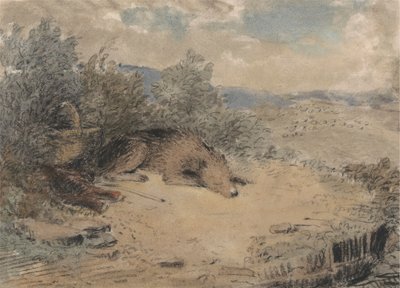 Çoban Köpeği Bir Manzarada Uyuyor by Andrew Geddes