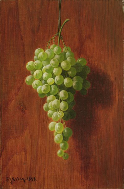 Üzüm (Yeşil), 1884 by Andrew John Henry Way