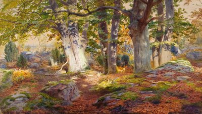  by Andrew MacCallum