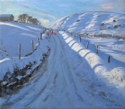 Dovehead, 2011 (tuval üzerine yağlı boya) by Andrew Macara