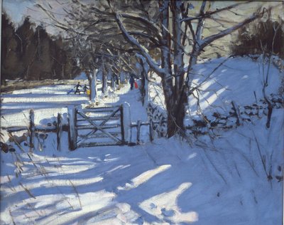 Youlgreave, Derbyshire yakınlarındaki kapı by Andrew Macara