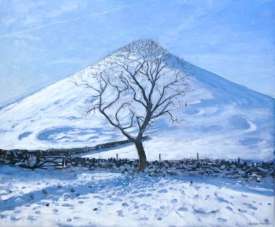 Tepe ve Ağaç, Derbyshire, 2008 by Andrew Macara