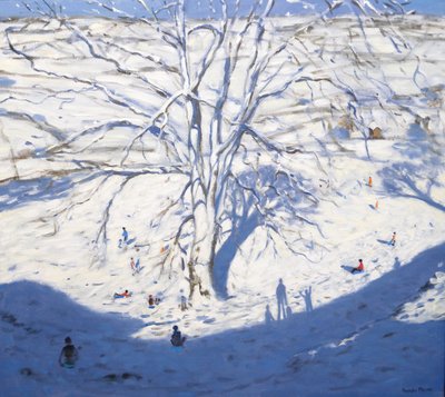 Hillside, Rowsley yakınlarındaki Elton, 2008 by Andrew Macara
