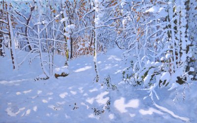 Kasım Karı, Allestree Woods, Derby, (tuval üzerine yağlı boya) by Andrew Macara