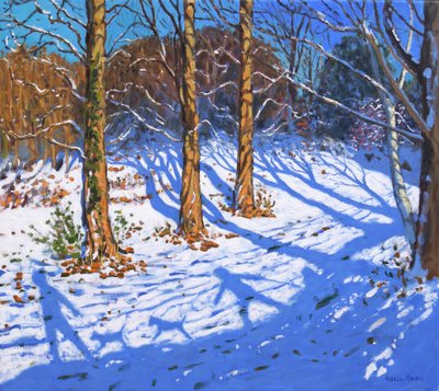 Kasım karı, Allestree Park, Derby, 2017, by Andrew Macara