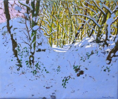 Kışın ormanda yol, Derbyshire, (tuval üzerine yağlı boya) by Andrew Macara